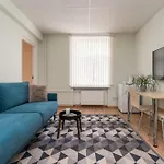 Virumaa Auberge de jeunesse *